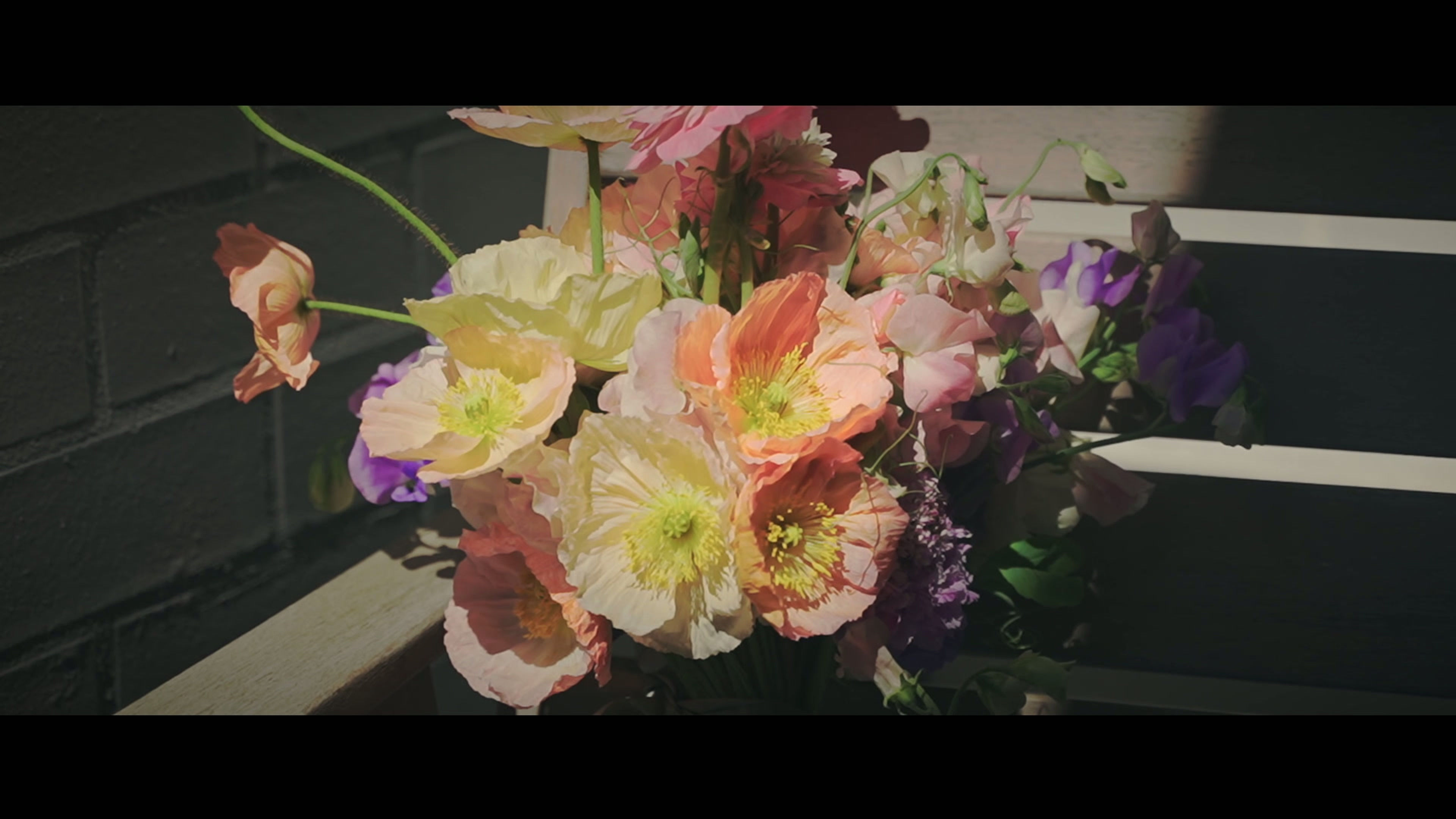 HAYDN & EMILY   13.09.2025